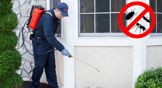 Derinkuyu Dezenfeksiyon böcek ilaçlama ve haşere kontrolü — ilaclama-tr.com